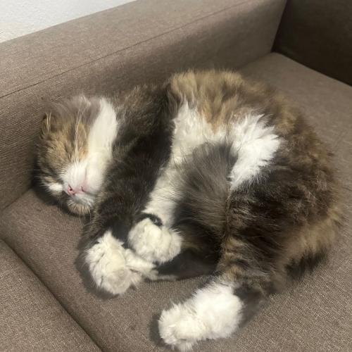 สมาชิกหมายเลข 2776265