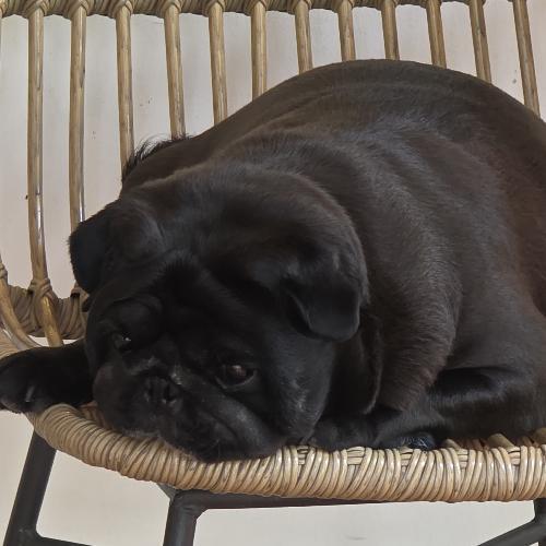 สมาชิกหมายเลข 4725352