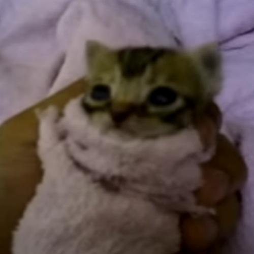 สมาชิกหมายเลข 9207772