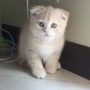 สมาชิกหมายเลข 3889009