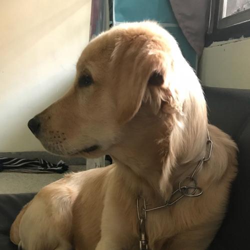 สมาชิกหมายเลข 4355942