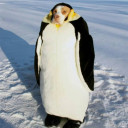 แพนด้าขาคู่ทะลุมิติ