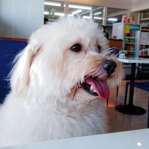 สมาชิกหมายเลข 4416524