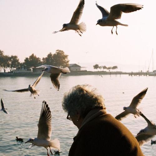 สมาชิกหมายเลข 5094069