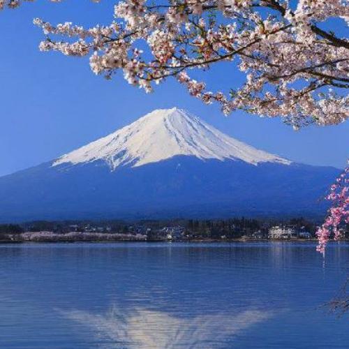 สมาชิกหมายเลข 5094226