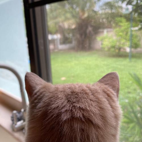 สมาชิกหมายเลข 5080922