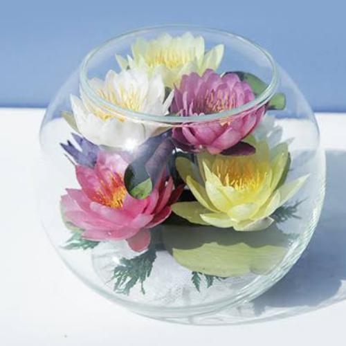 สมาชิกหมายเลข 6019956