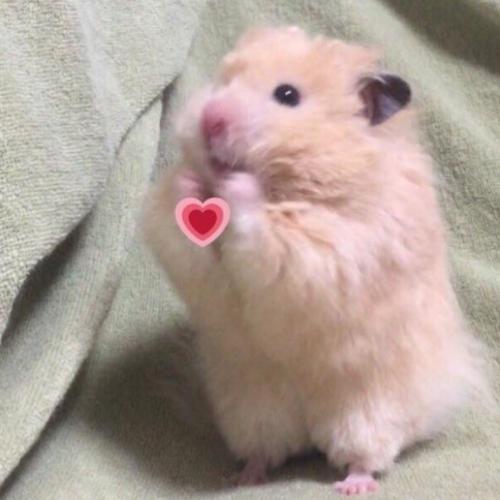 สมาชิกหมายเลข 6020294