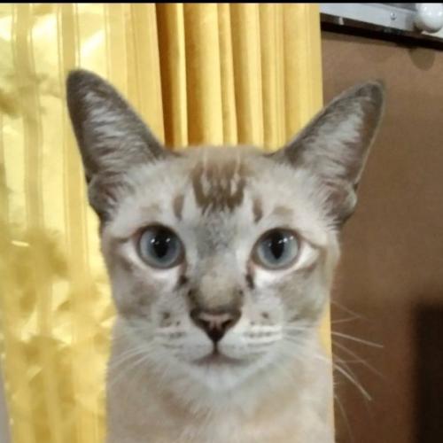 สมาชิกหมายเลข 3419193