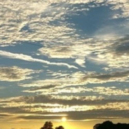 สมาชิกหมายเลข 6563474