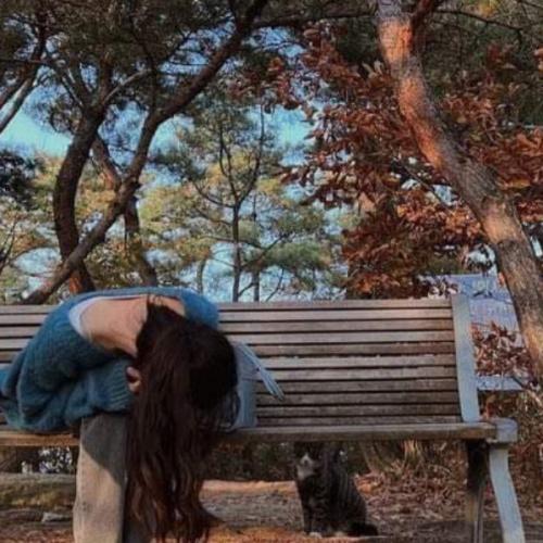 สมาชิกหมายเลข 7374346