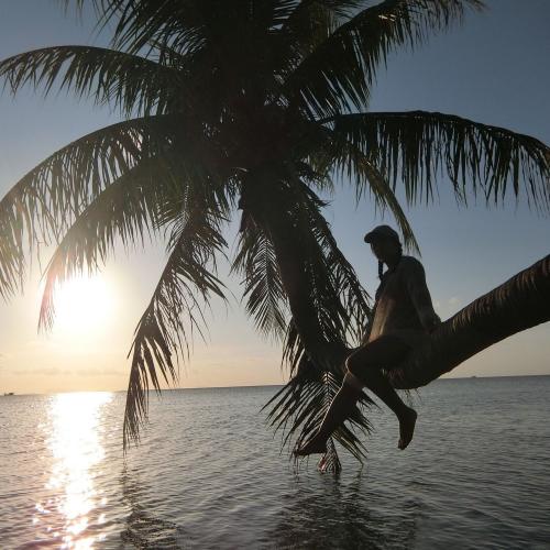 สมาชิกหมายเลข 2343445