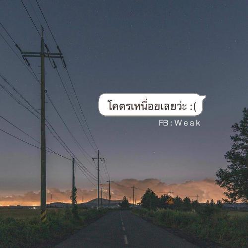 สมาชิกหมายเลข 4341394