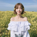 สมาชิกหมายเลข 4764767