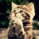 สมาชิกหมายเลข 4964733