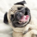 สมาชิกหมายเลข 1574442