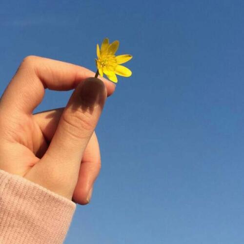 สมาชิกหมายเลข 4238274