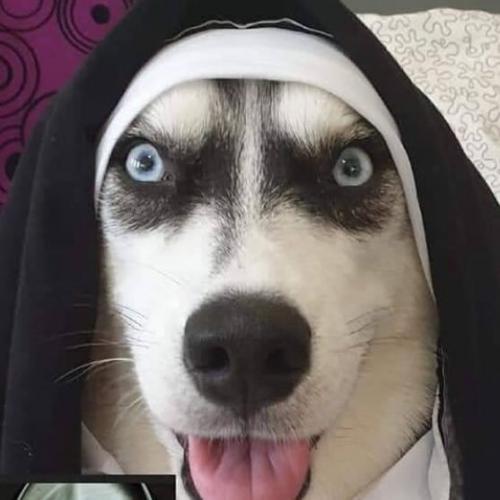 สมาชิกหมายเลข 5030251