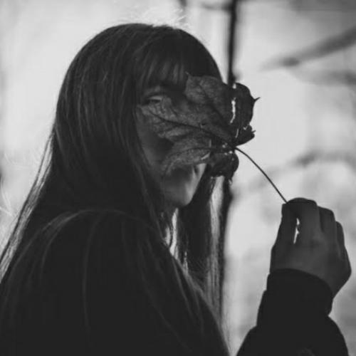 สมาชิกหมายเลข 5486099