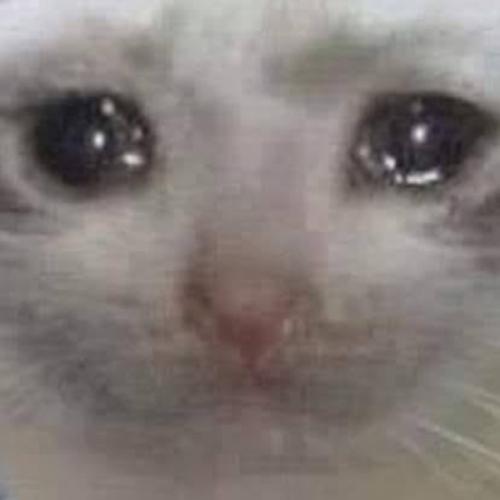 สมาชิกหมายเลข 4499388