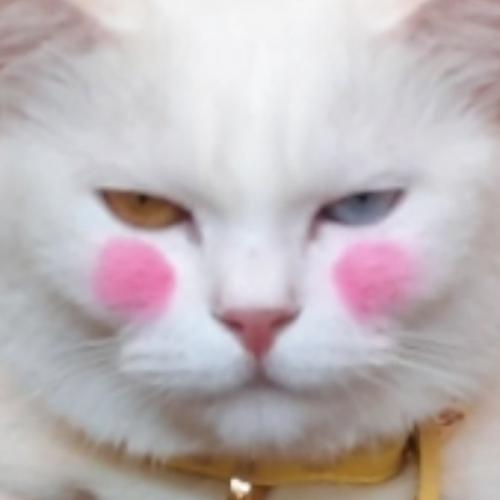 สมาชิกหมายเลข 5995491