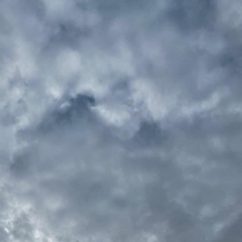 สมาชิกหมายเลข 3898779