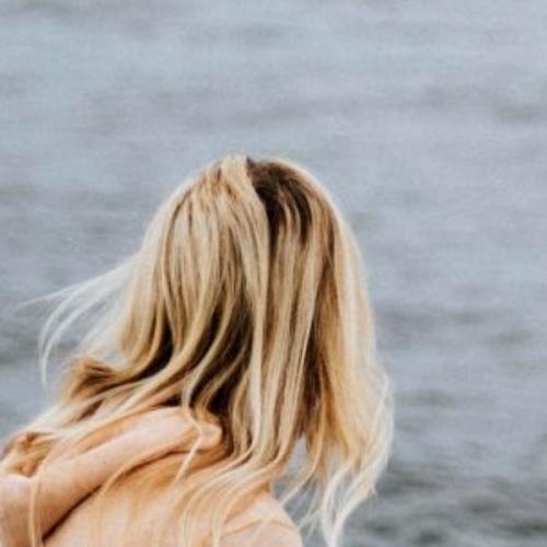 สมาชิกหมายเลข 6356584