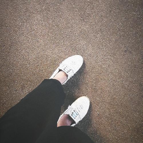 สมาชิกหมายเลข 6629968