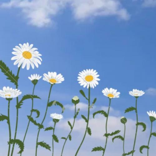 สมาชิกหมายเลข 7379462