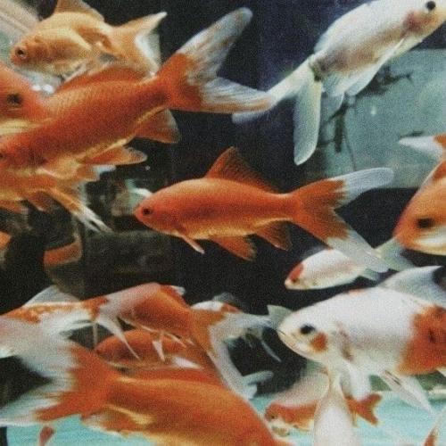 สมาชิกหมายเลข 9260583