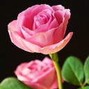 สมาชิกหมายเลข 3889963