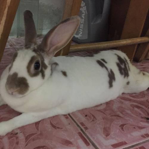 สมาชิกหมายเลข 1292554