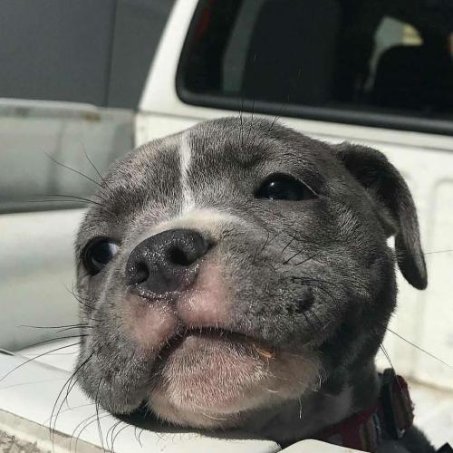 สมาชิกหมายเลข 4722736