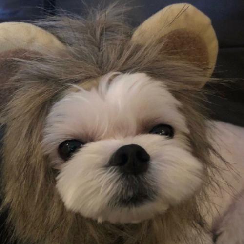 สมาชิกหมายเลข 1602959