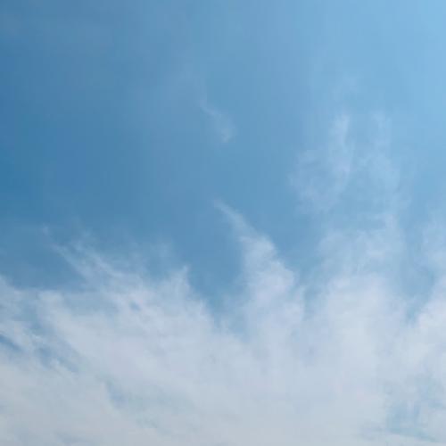 สมาชิกหมายเลข 5094925