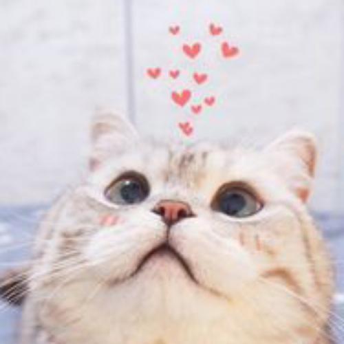 สมาชิกหมายเลข 3358311