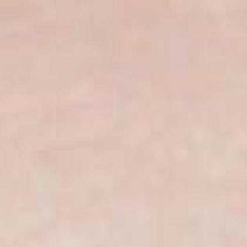 สมาชิกหมายเลข 5856330