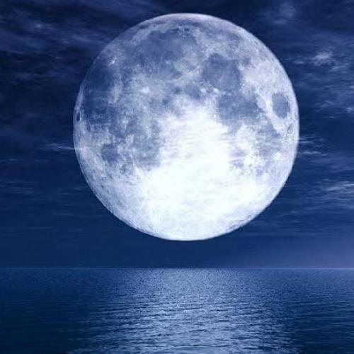 สมาชิกหมายเลข 6020383