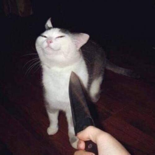 สมาชิกหมายเลข 6021164