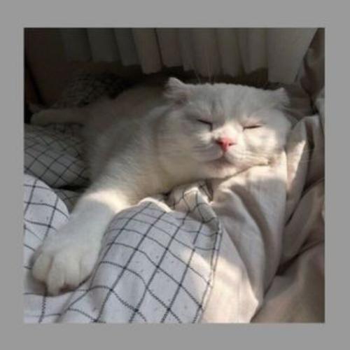 สมาชิกหมายเลข 6635586