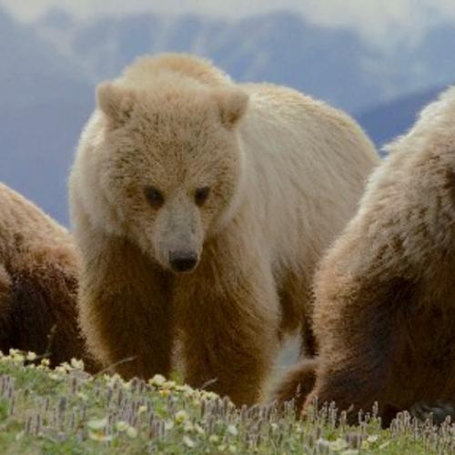 สมาชิกหมายเลข 6636093