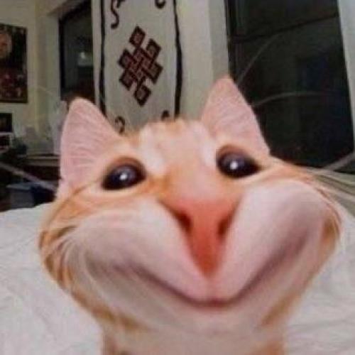 สมาชิกหมายเลข 5841135