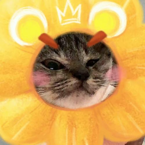 สมาชิกหมายเลข 6929148