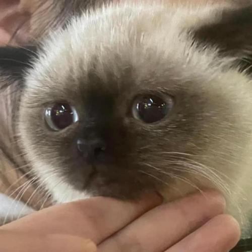 สมาชิกหมายเลข 3392895