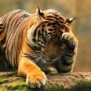 นิมิตรพิสดารในกาลอากาศ