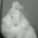 สมาชิกหมายเลข 4341820