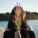 สมาชิกหมายเลข 1888719