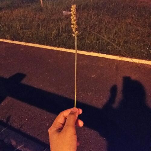 สมาชิกหมายเลข 4719657