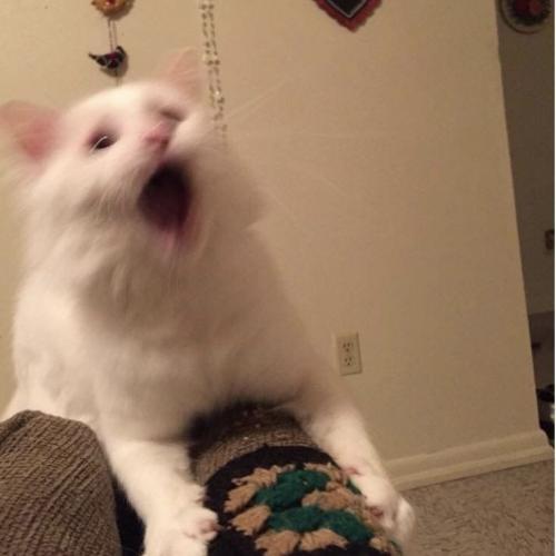 สมาชิกหมายเลข 5487146