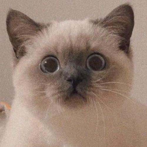 สมาชิกหมายเลข 6636830